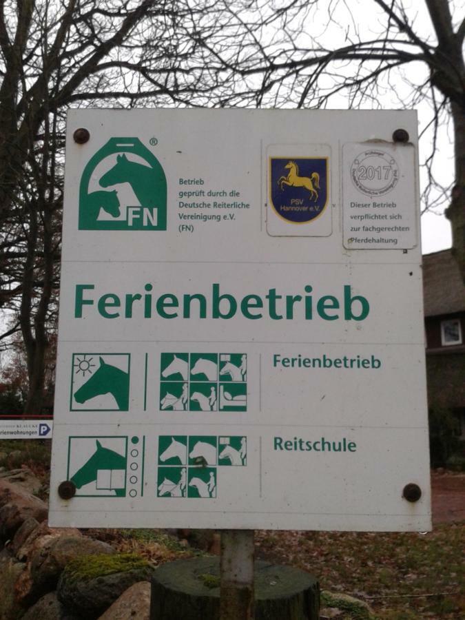 Reit- Und Bauernhof Klaucke Apartment Trebel Exterior foto